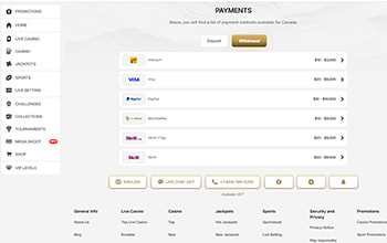 Tooniebet Payment Methods